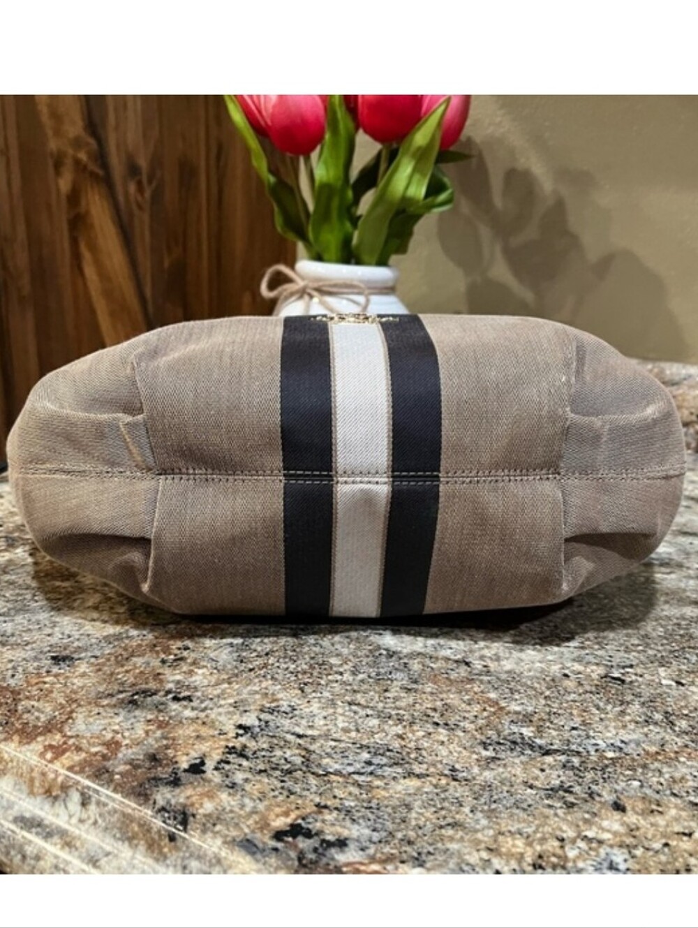 Coach Skylar Hobo Bag with Varsity Stripe - MRSP $398 - Picture 5 of 13